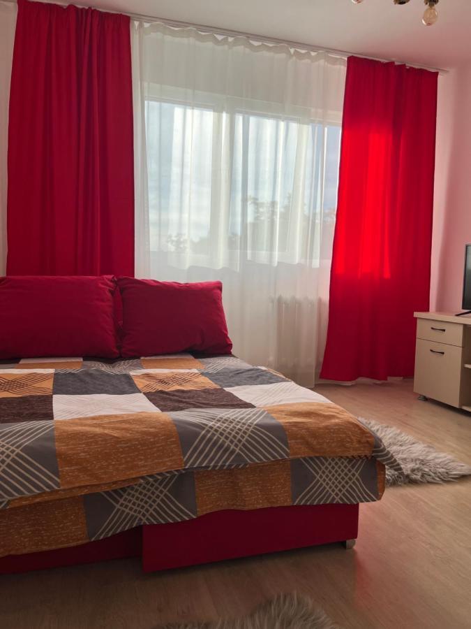 Apartament Apart Uta 2 Arad Zewnętrze zdjęcie